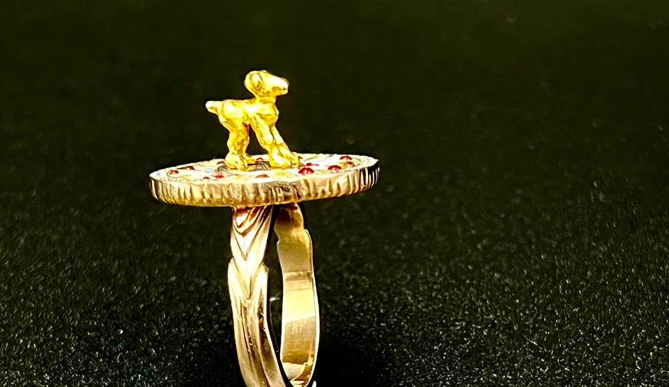 Cake dog ring